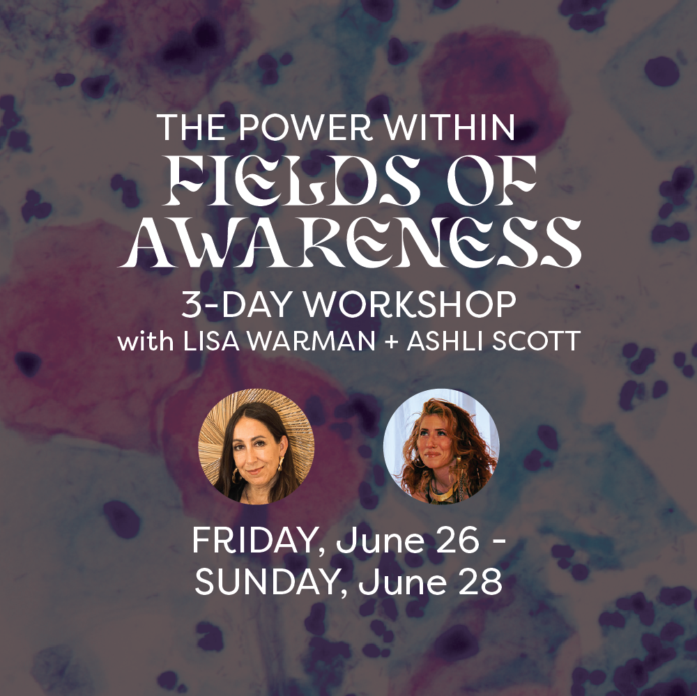 Fields of Awareness
