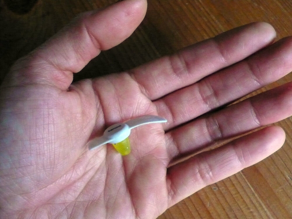 P1050026_sm.jpg
