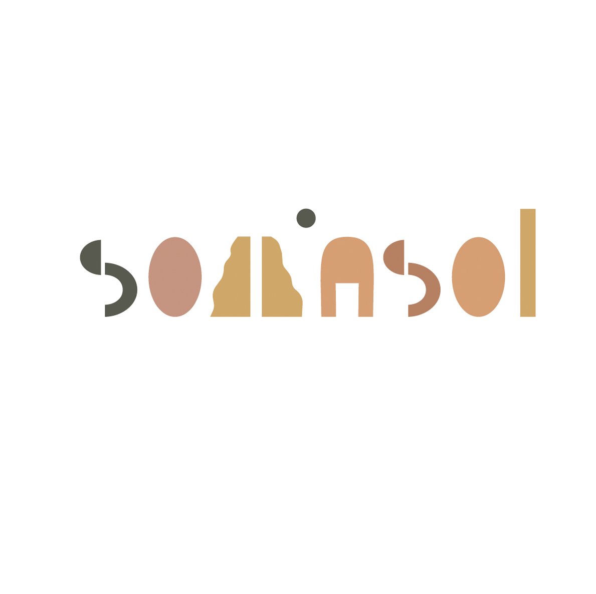 SOMASOL.jpg