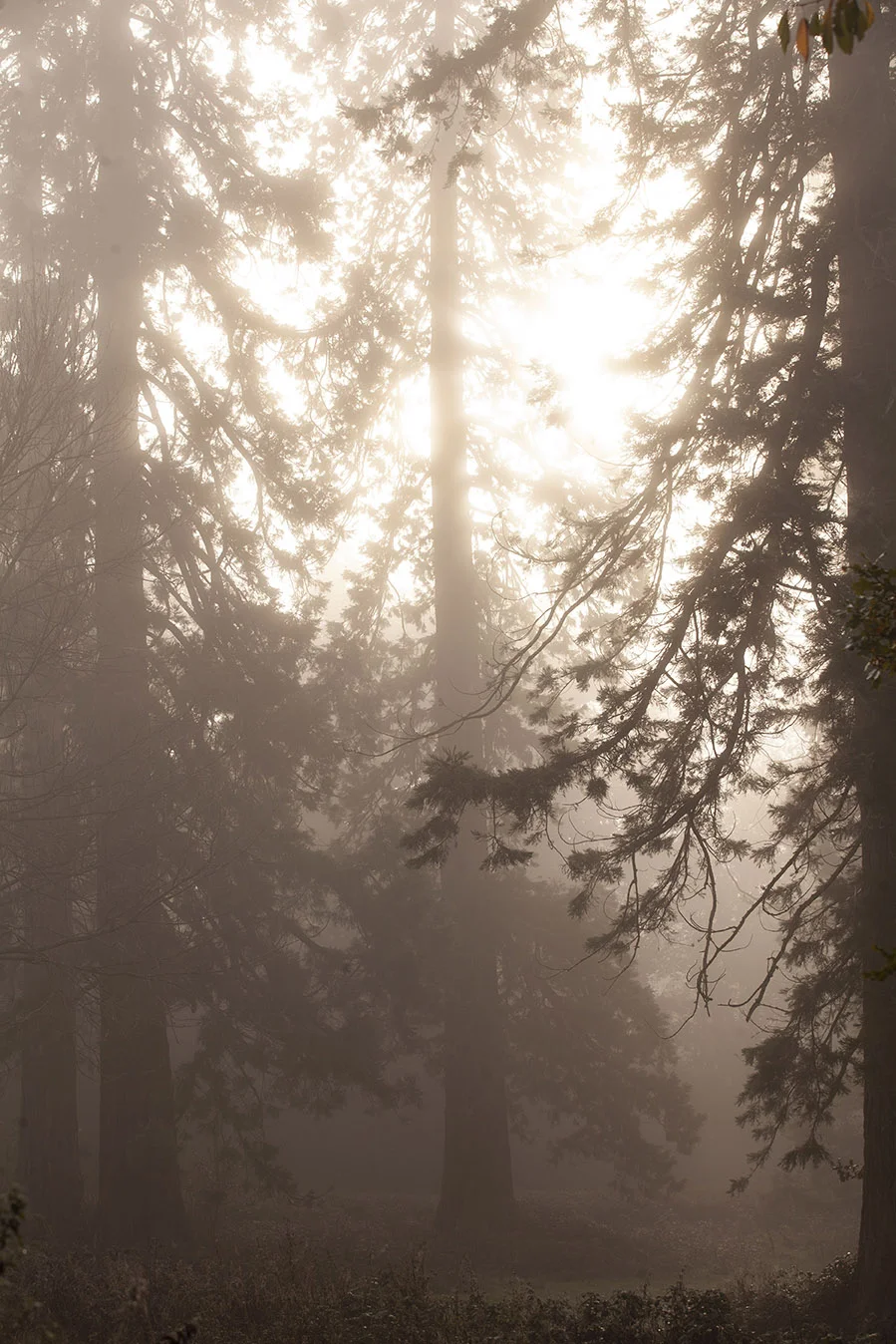 “My great outdoors.”