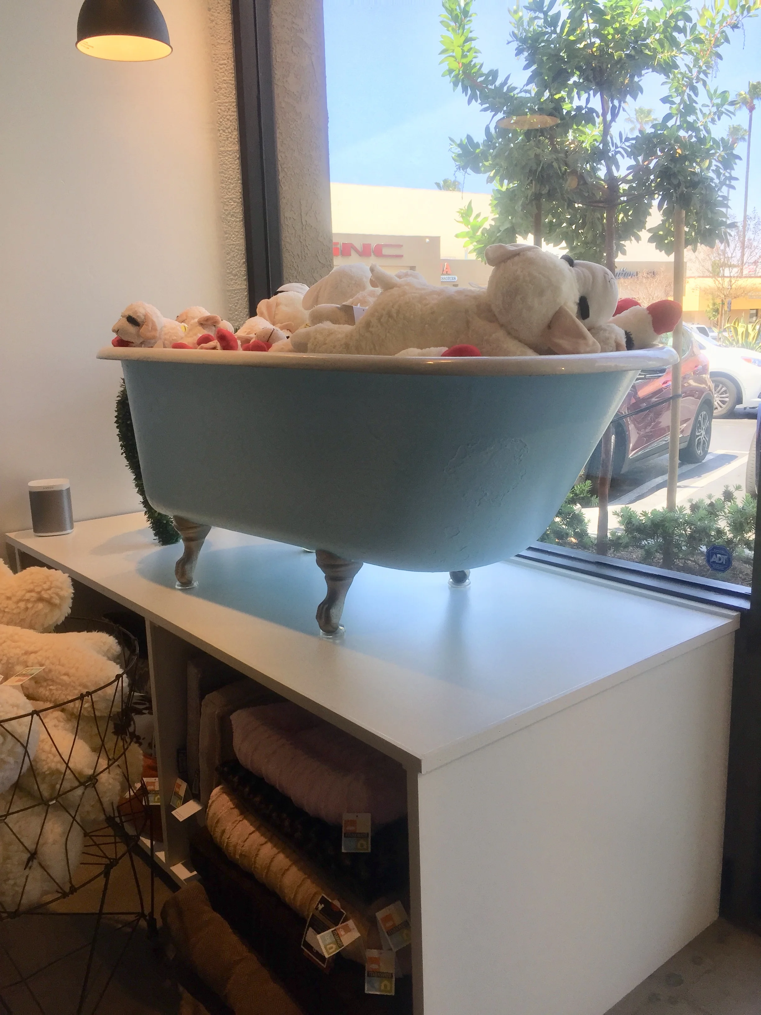 Custom window platform and refinished claw foot bathtub.