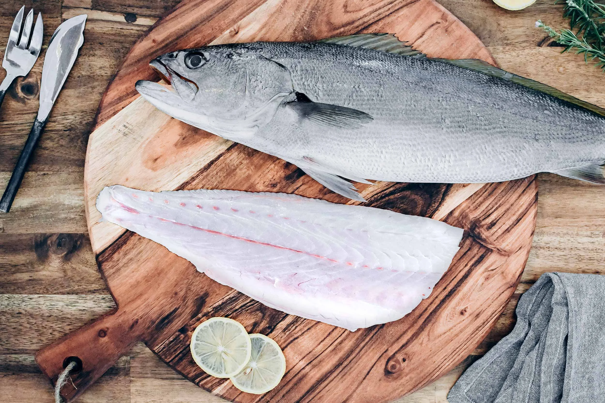 OurFish-tragline.jpg