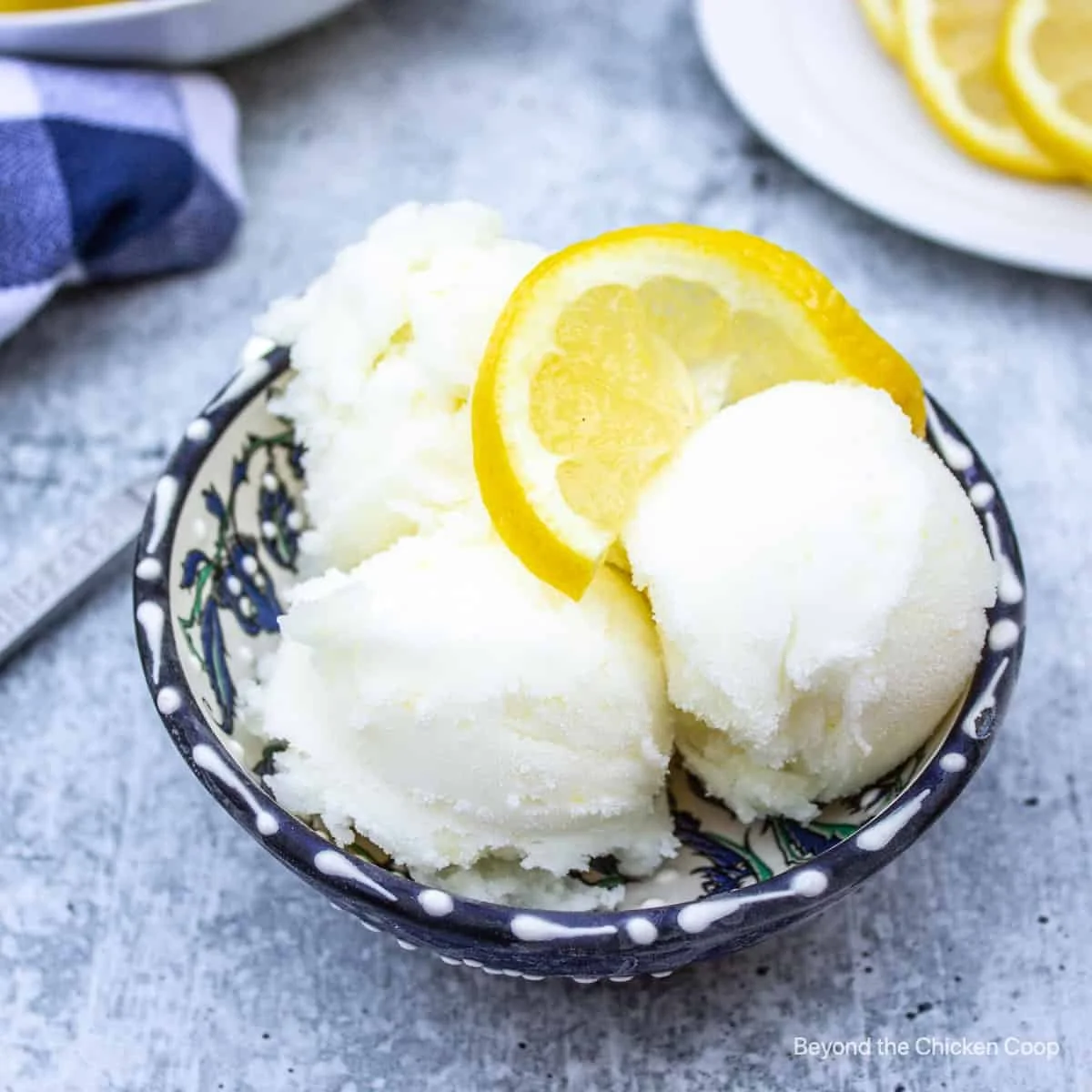 Lemonade Sorbet – Topi Hill Organics