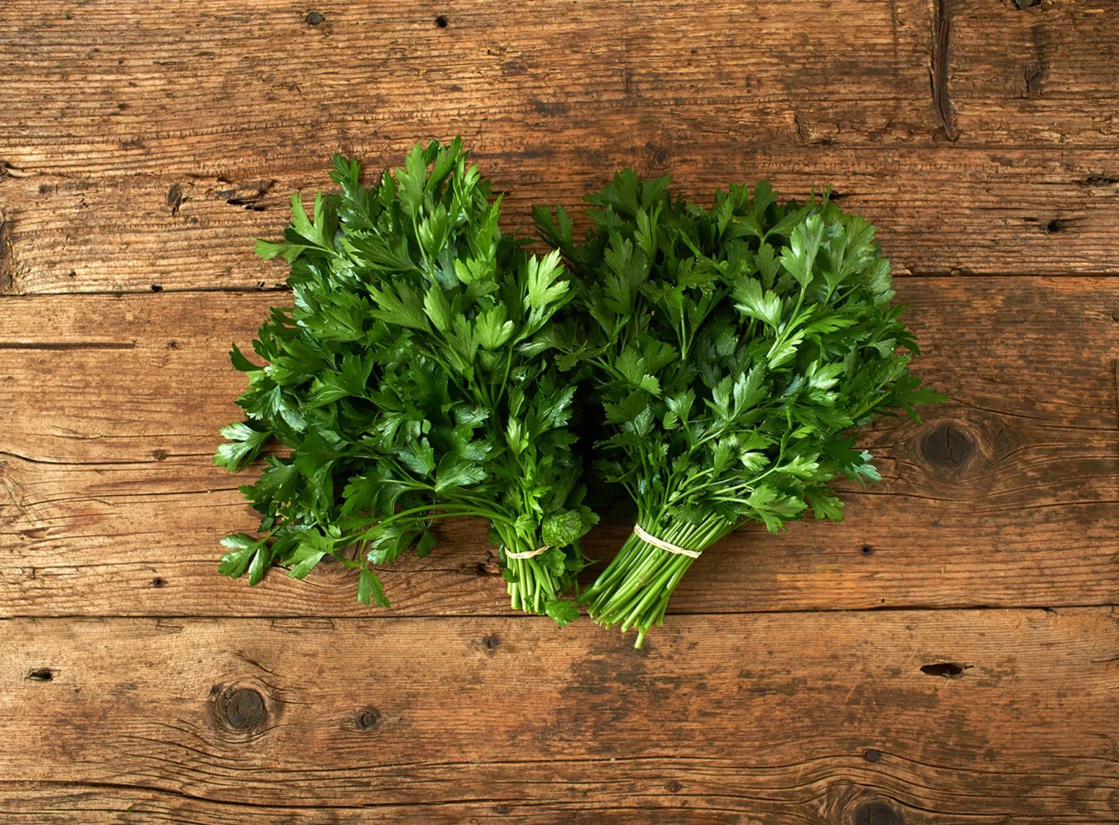 giant-parsley.jpg