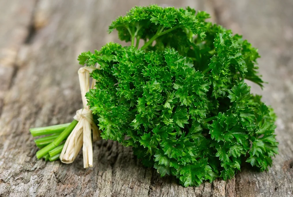 Parsley – Topi Hill Organics