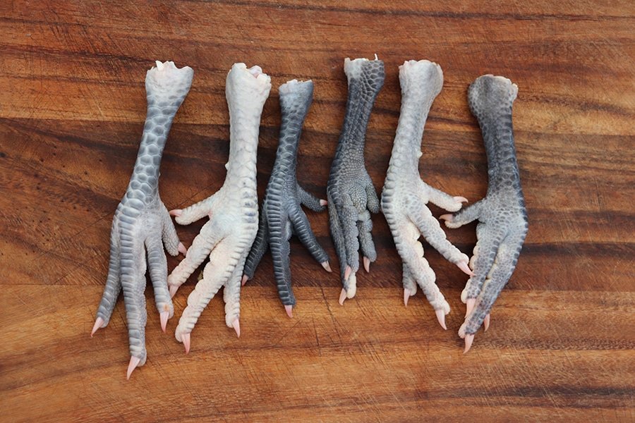 Chicken Feet.jpg