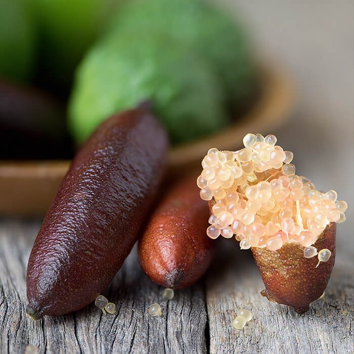 Pink Finger Lime – Topi Hill Organics