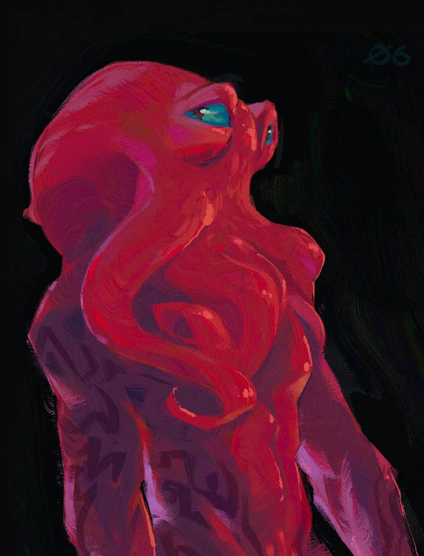 octo.jpg