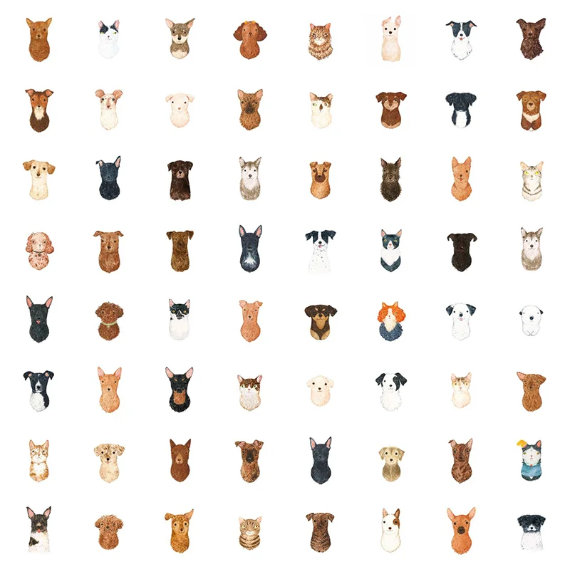 compiled_cropped.jpg