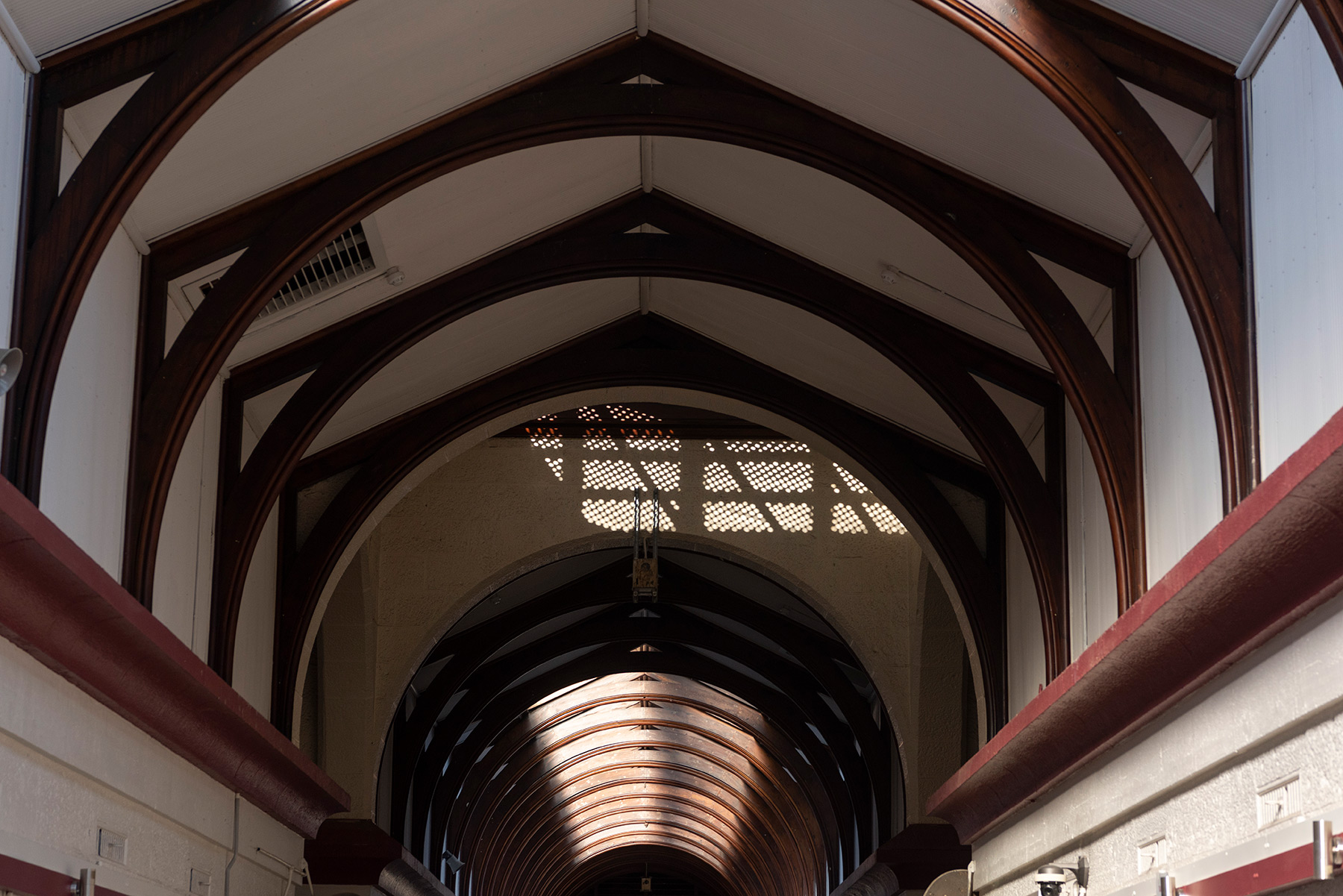 _DSC3811(web-res).jpg