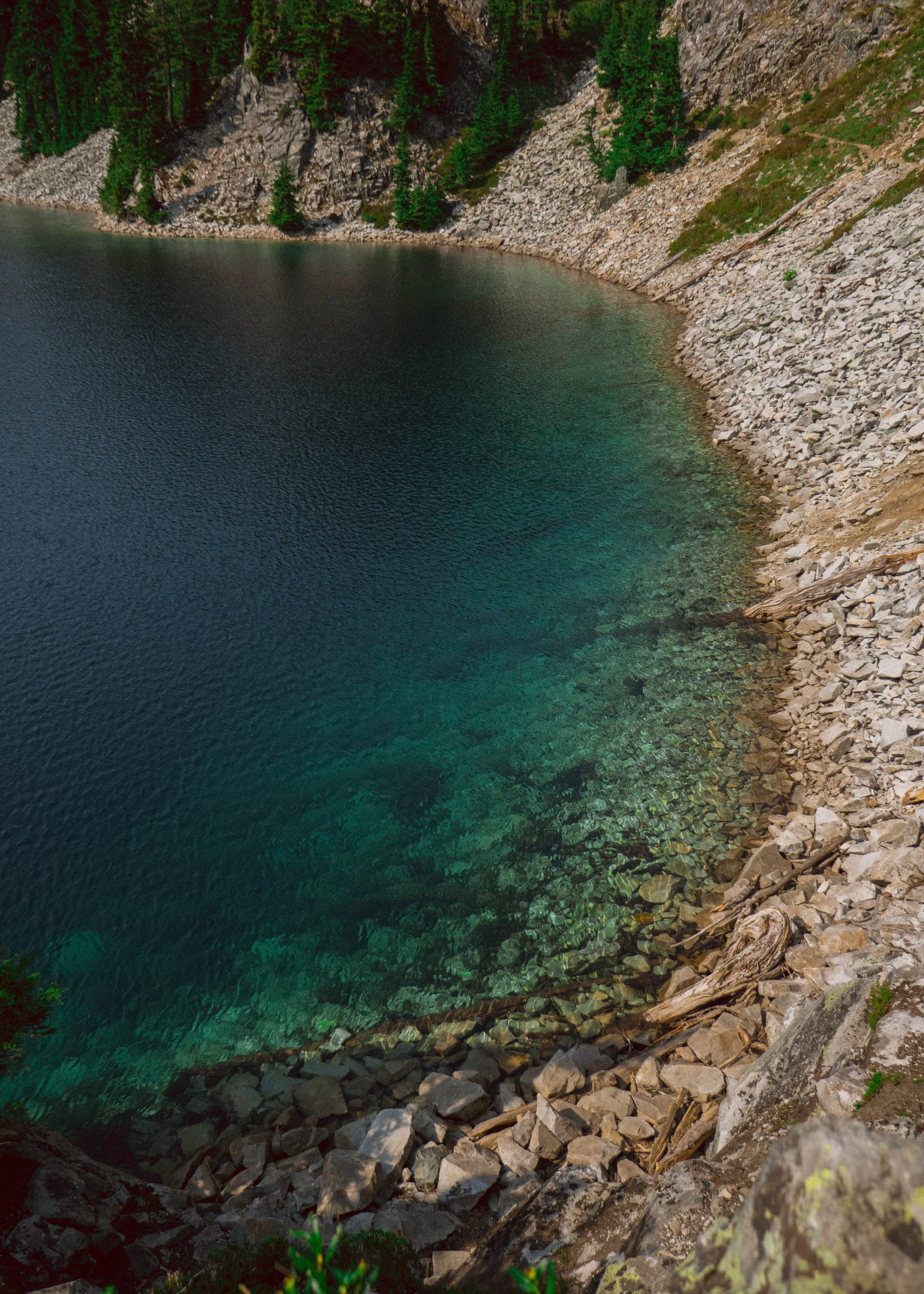 P1010196.jpg