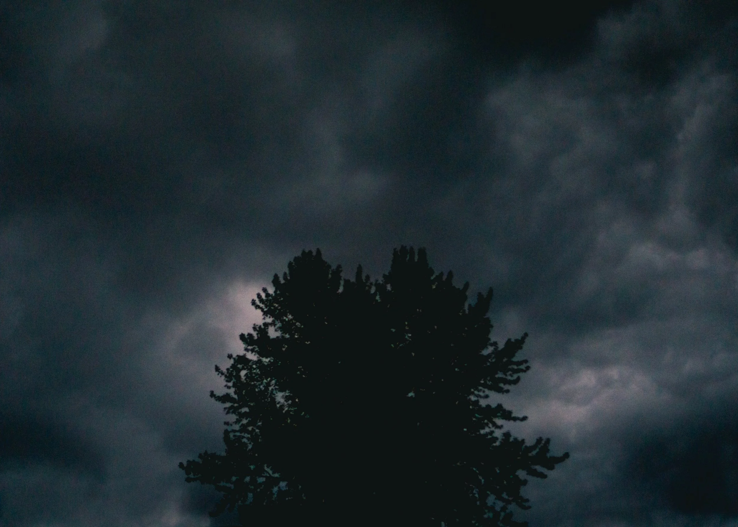 untitled-3.jpg