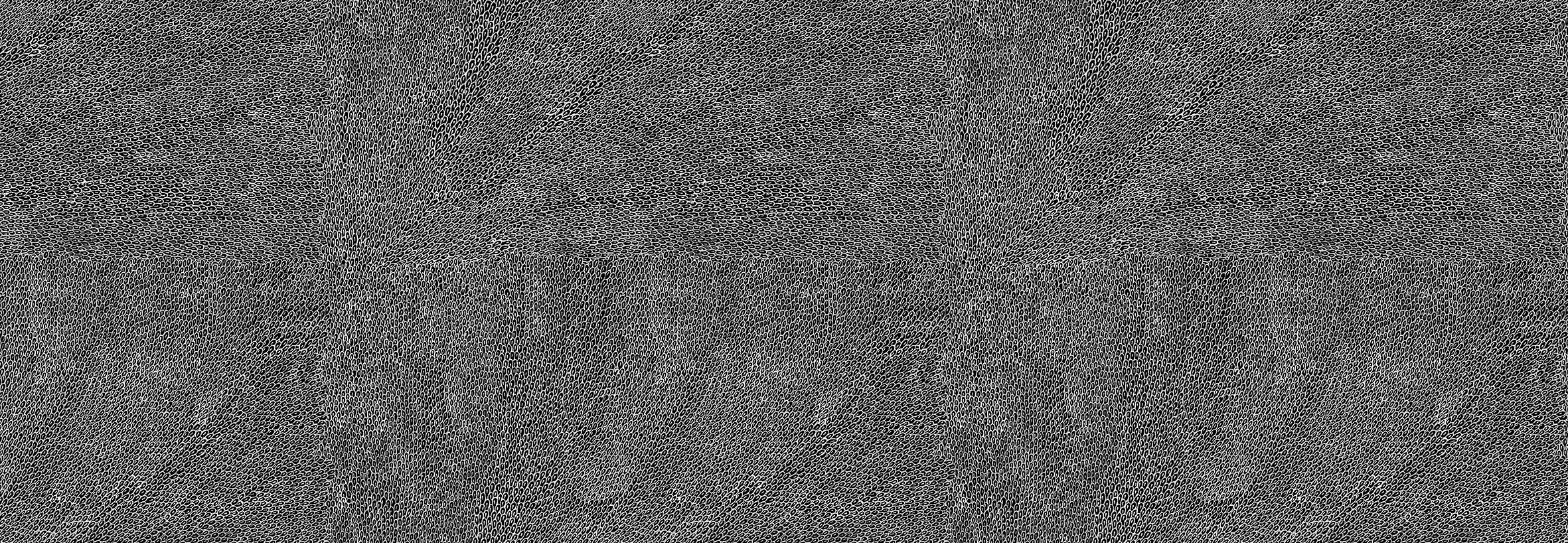 Willie Weston_Native Seeds_Midnight.jpg