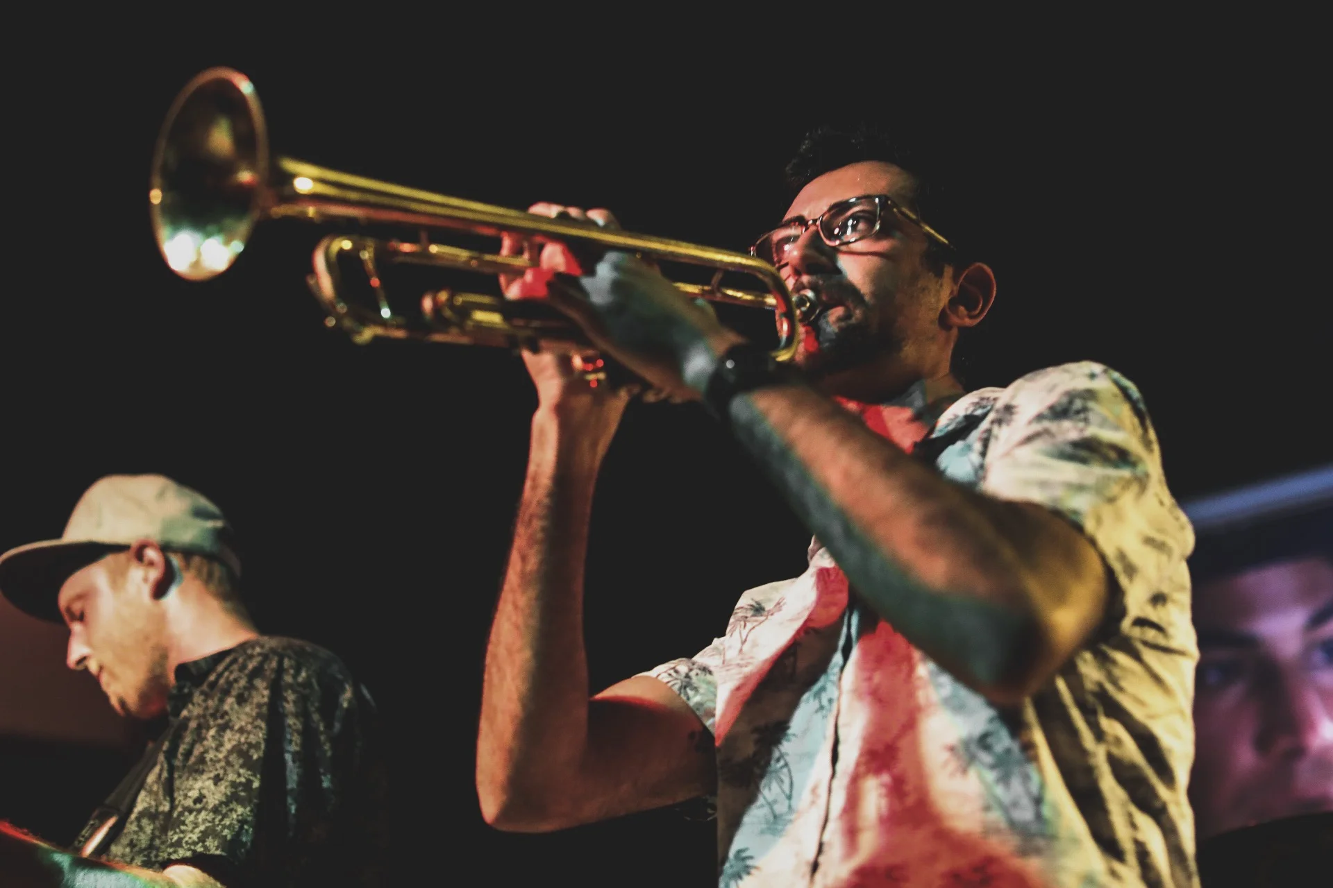 About — SHARK ATTACK!!