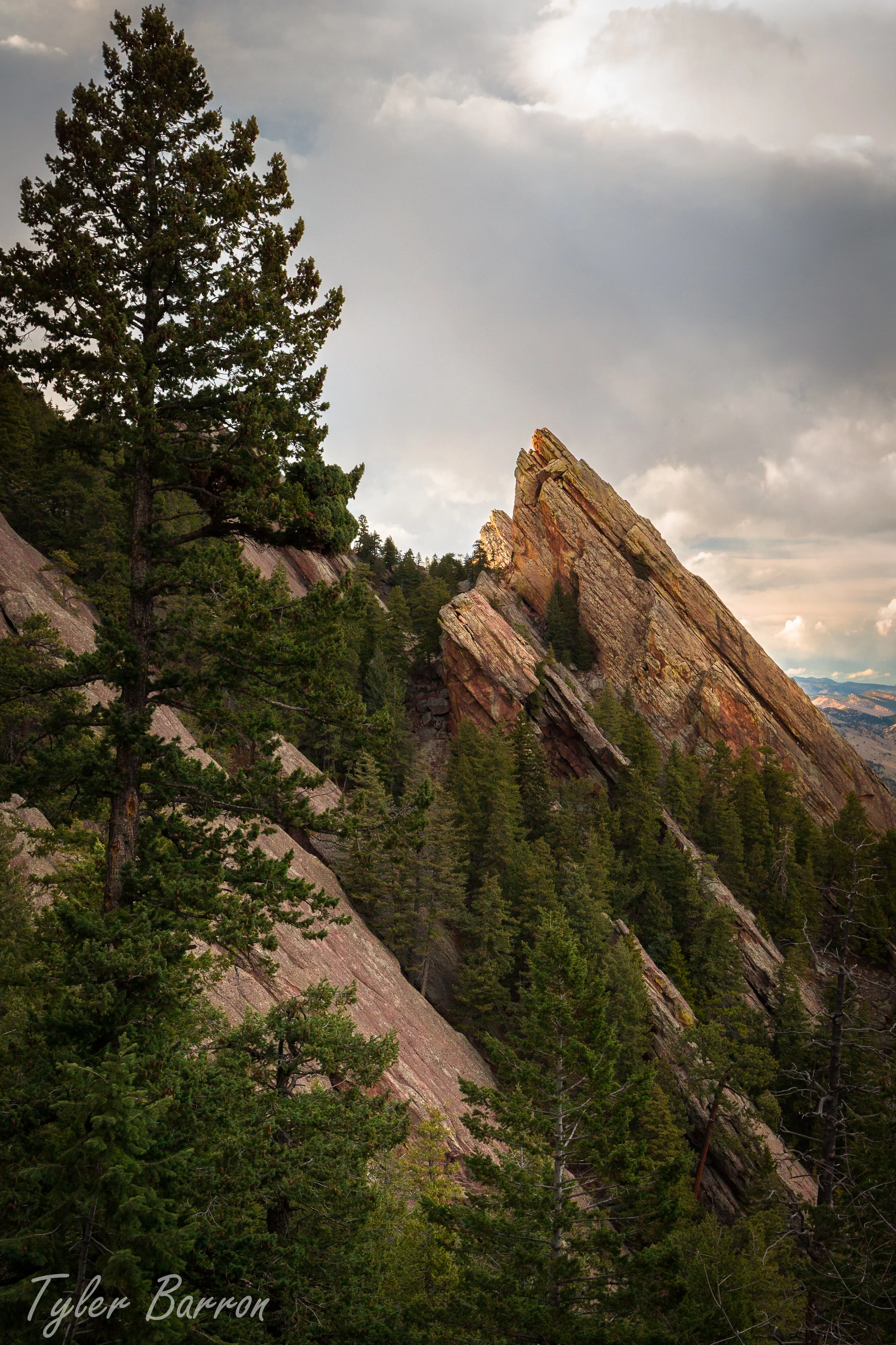Flatiron (1 of 1).jpg