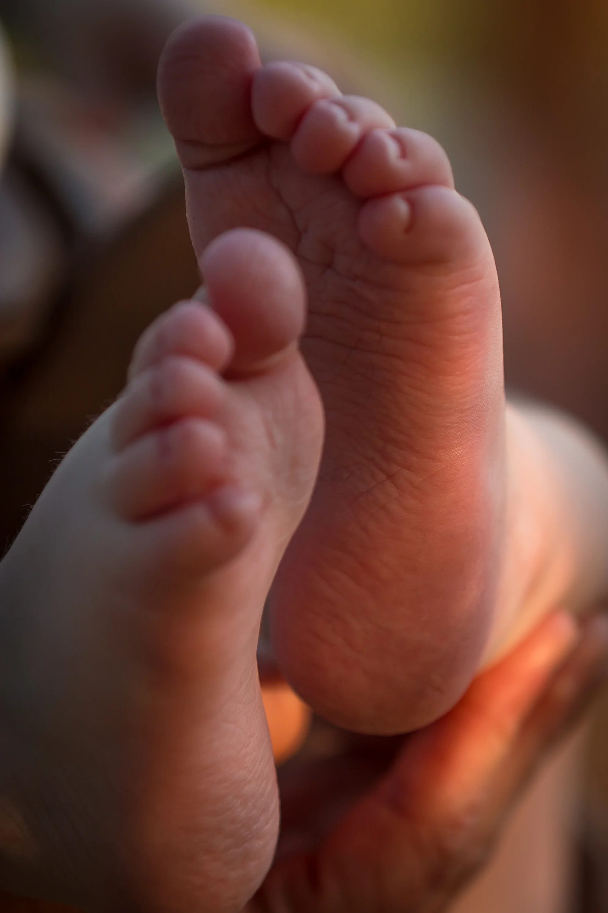 Little Feet.jpg