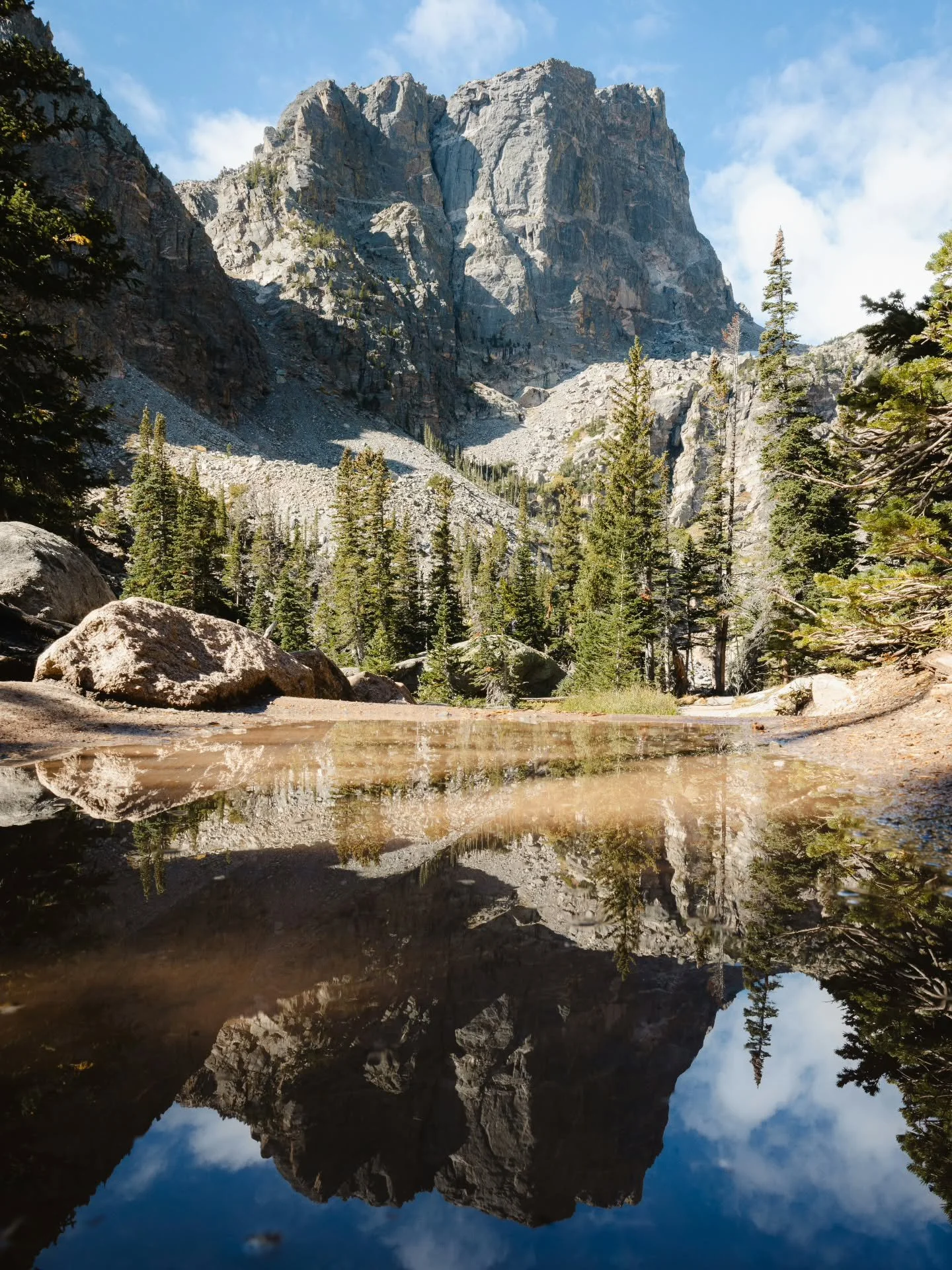 I might have looked a little silly putting my camera right above what was basically just a tiny mud puddle, but the reflections were good, so... 🤷