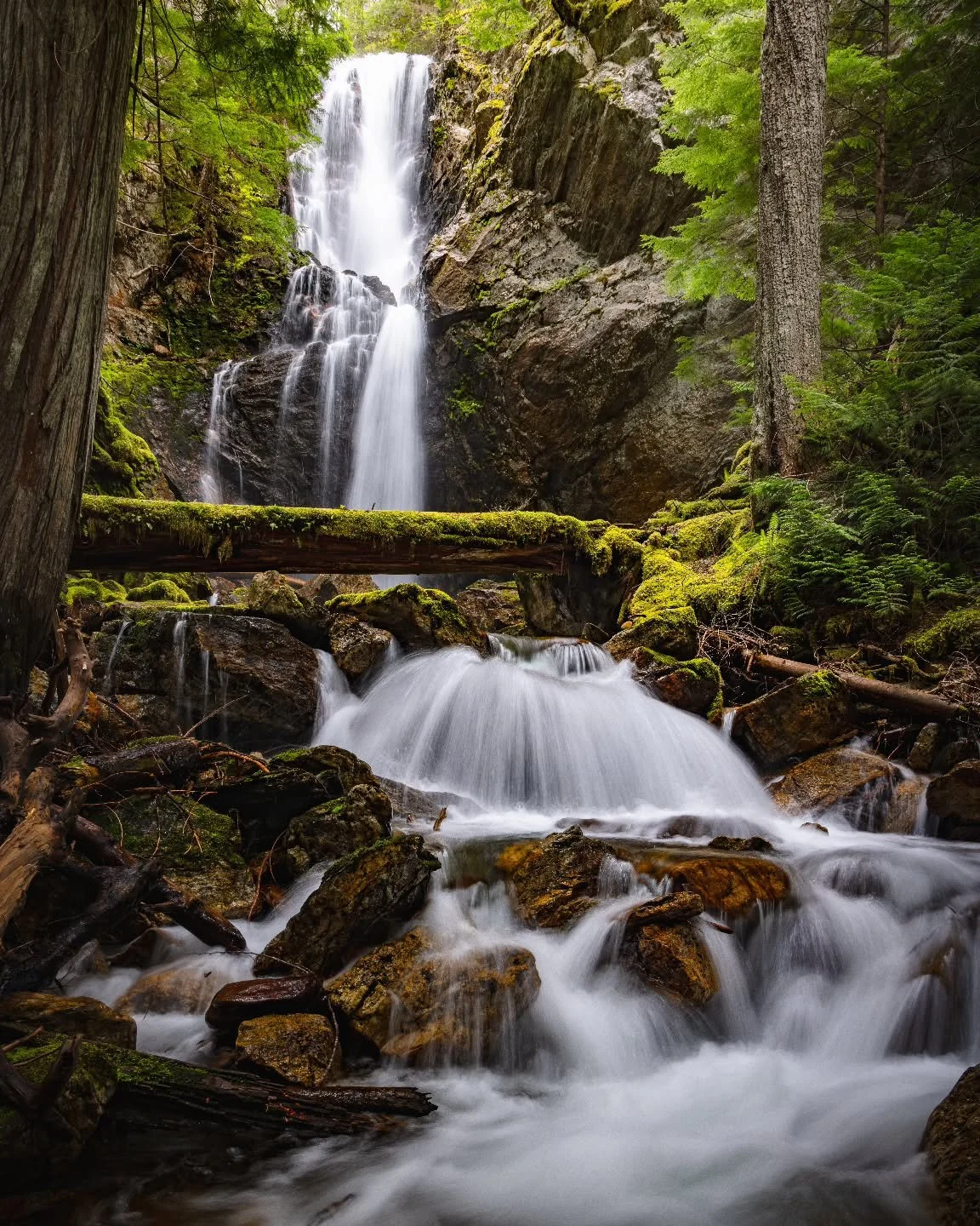 I forgot to export this from Lightroom back in 2024. So here it is now, and it's... okay. 
.
.
.
#cascade #northcascades #waterfalls