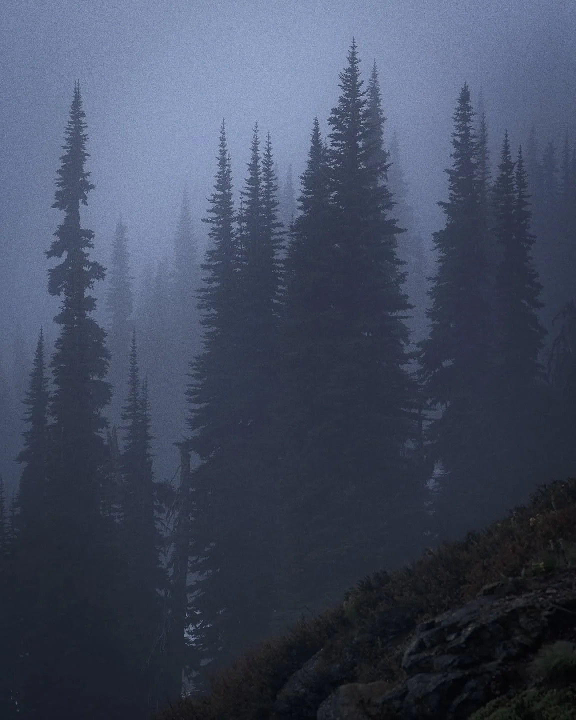 Summer in the Cascades. Take a couple of Junes ago on a birthday hike. 
.
.
.
.
.
#cascades #maplepassloop #northcascades #nationalpark