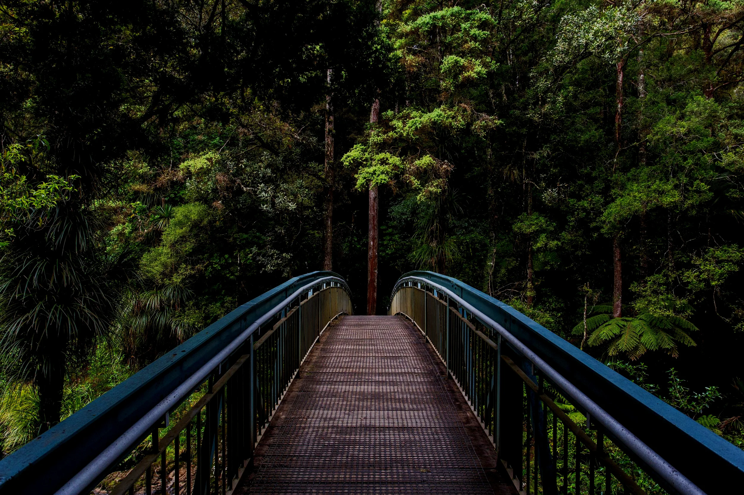 bridge-1082117.jpg