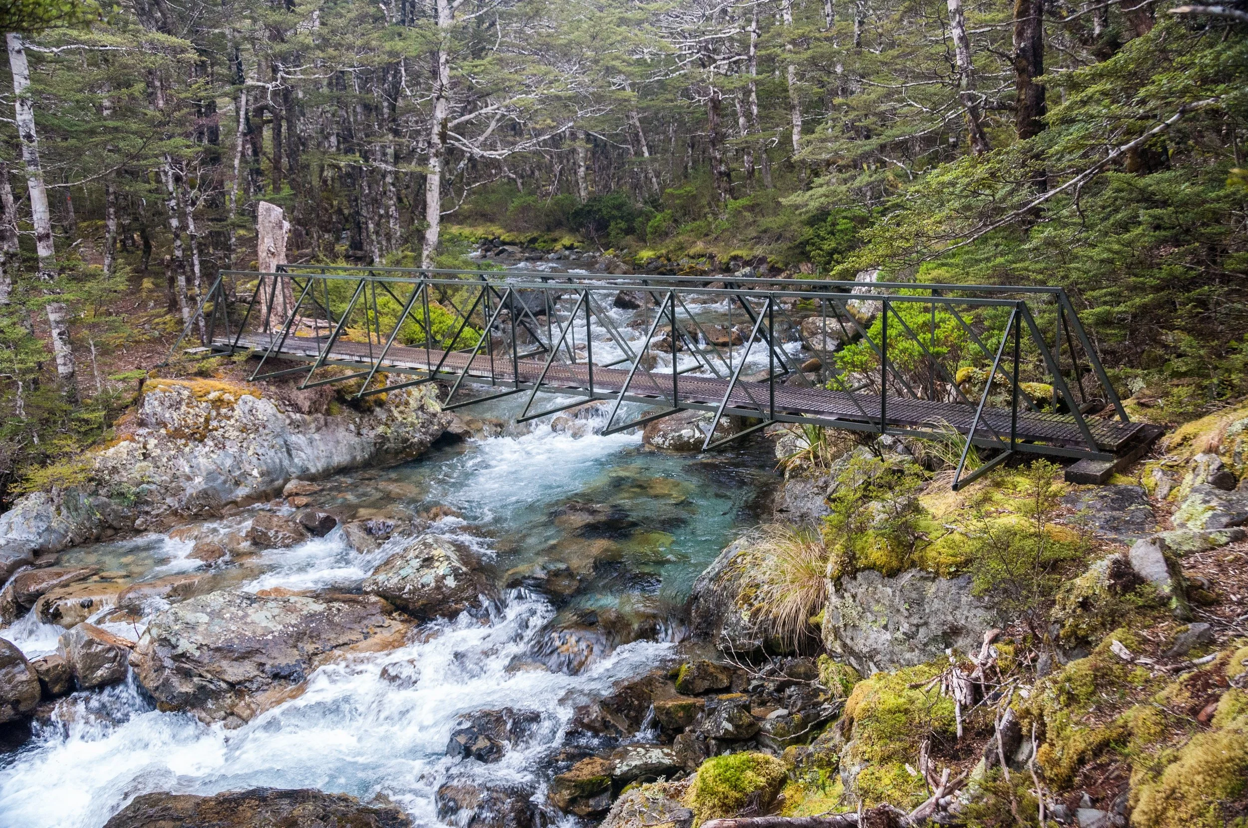 nelson-lakes-national-park-4049840.jpg