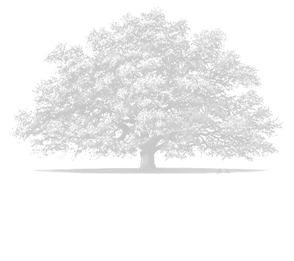 Angel Oak Wines
