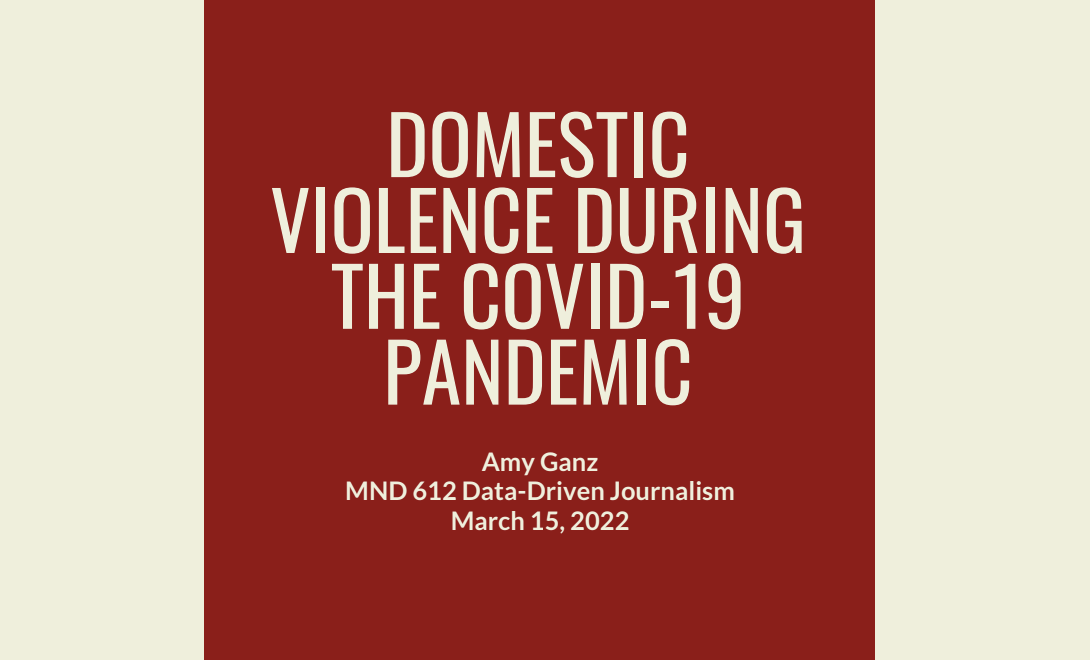 Domestic Violence Data Journalism Project
