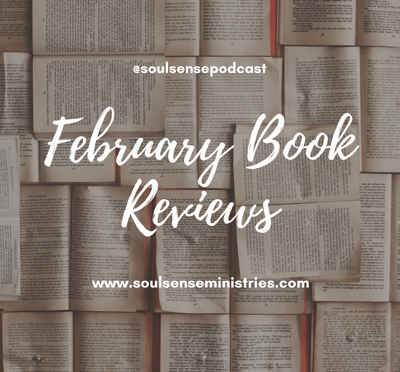 Kim's Book Shelf: February books