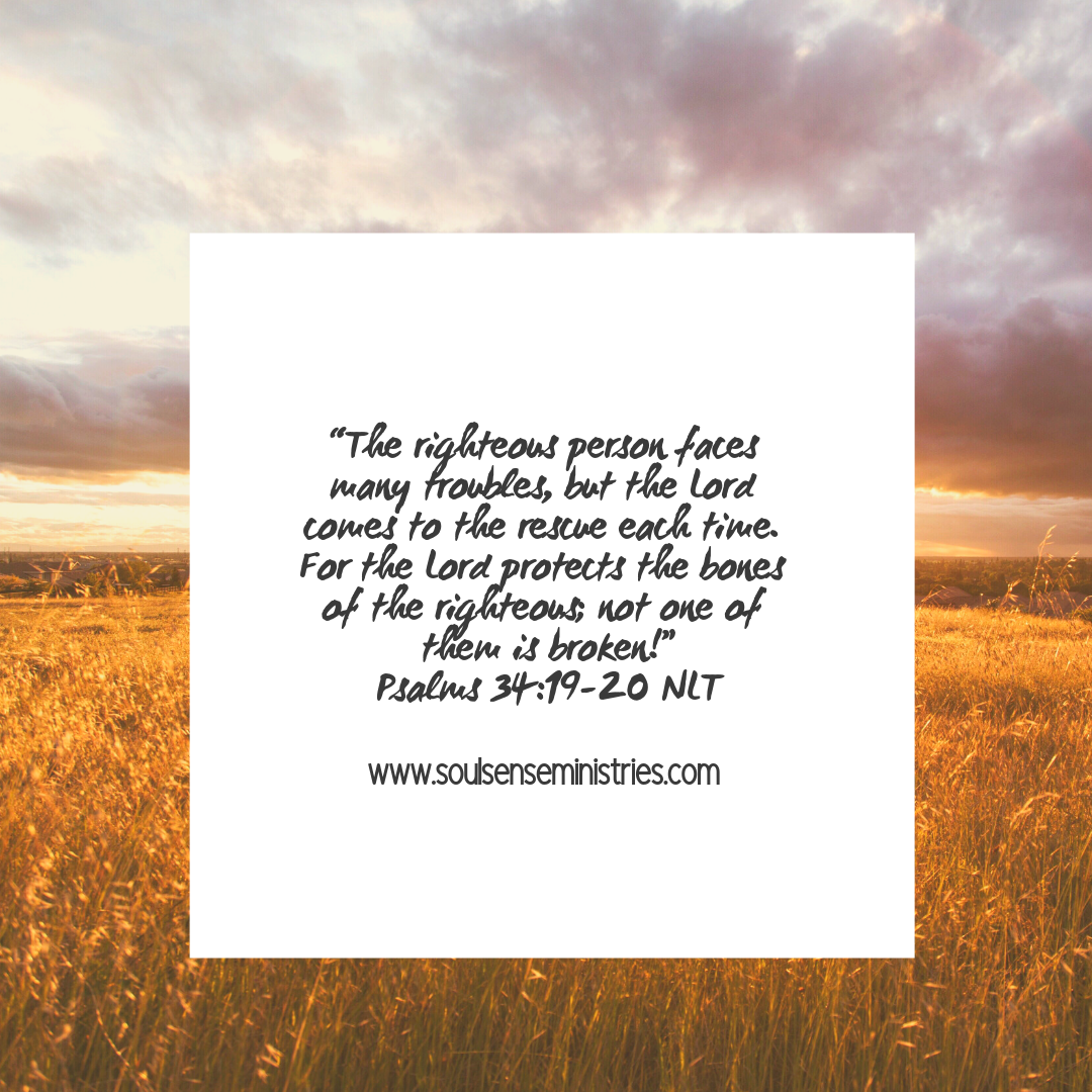 The LORD is my protector!
