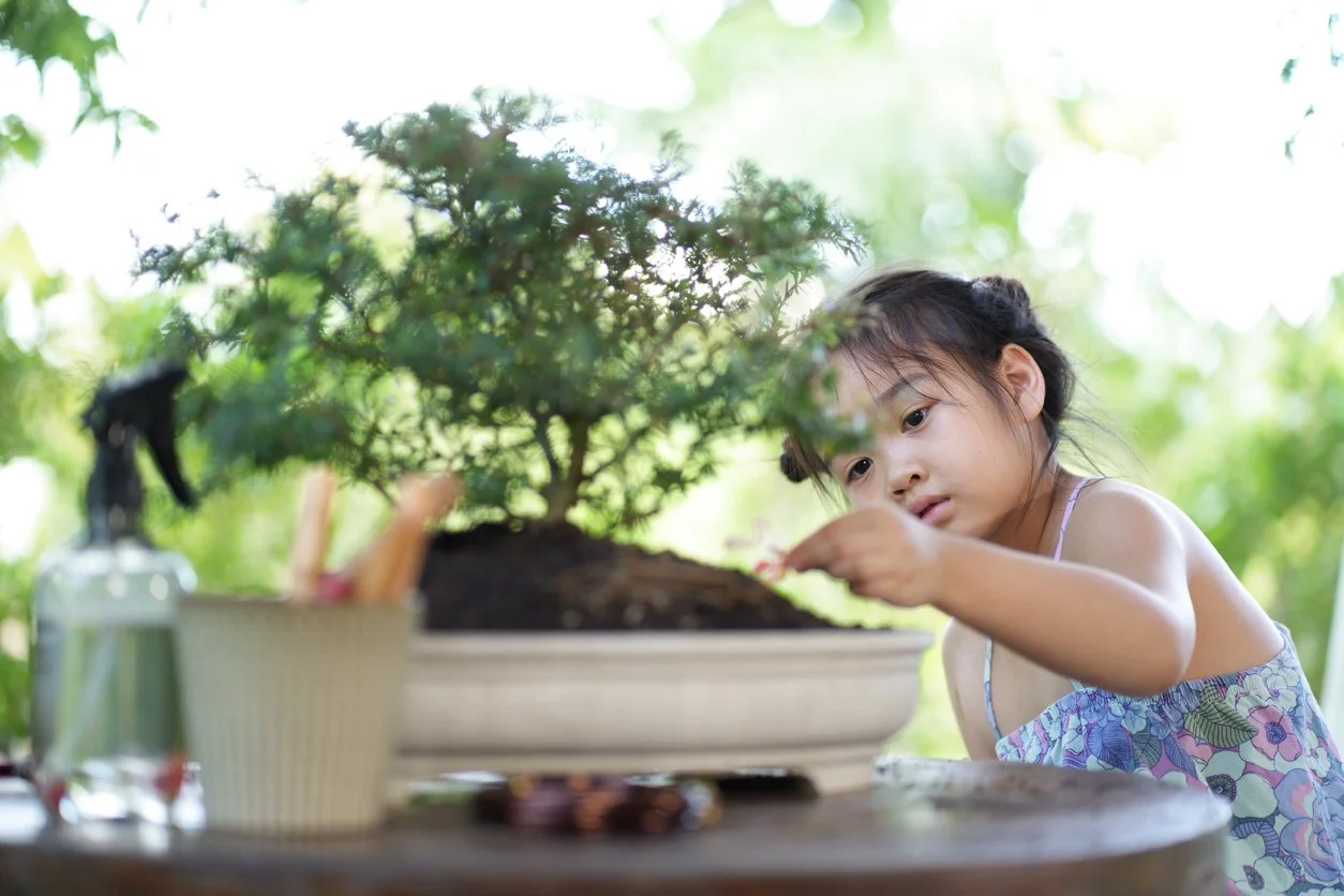 Visual Storytelling for Human Impact