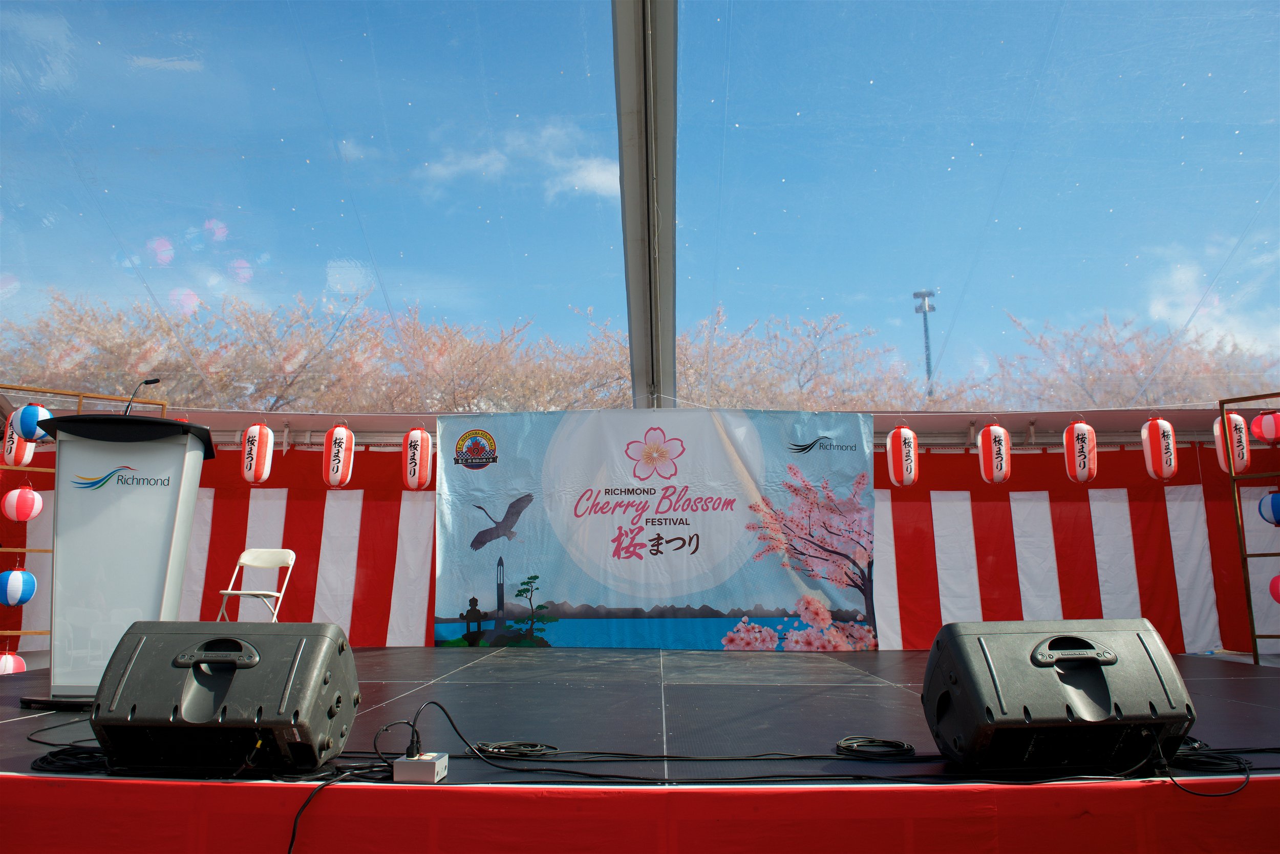 RichmondSakura7Apr2024@JenniferStrangPhotography.com 69.jpg