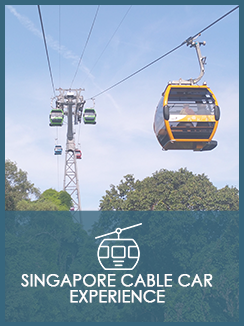 Artboard 9update.png