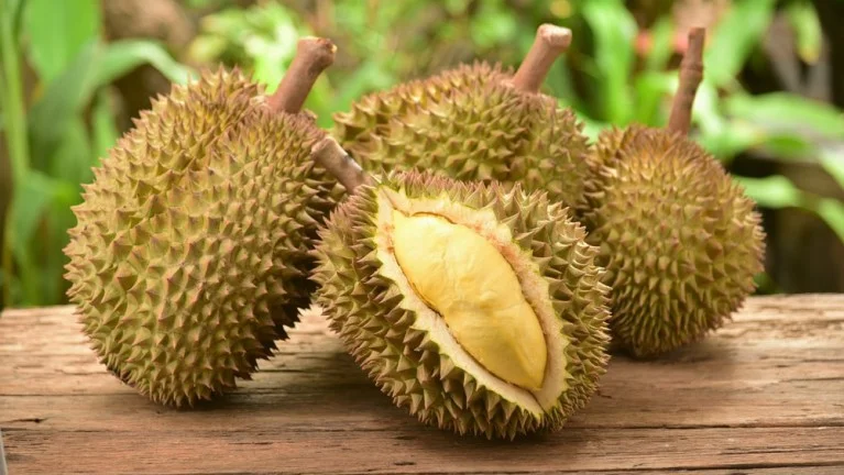 durian_2.jpg