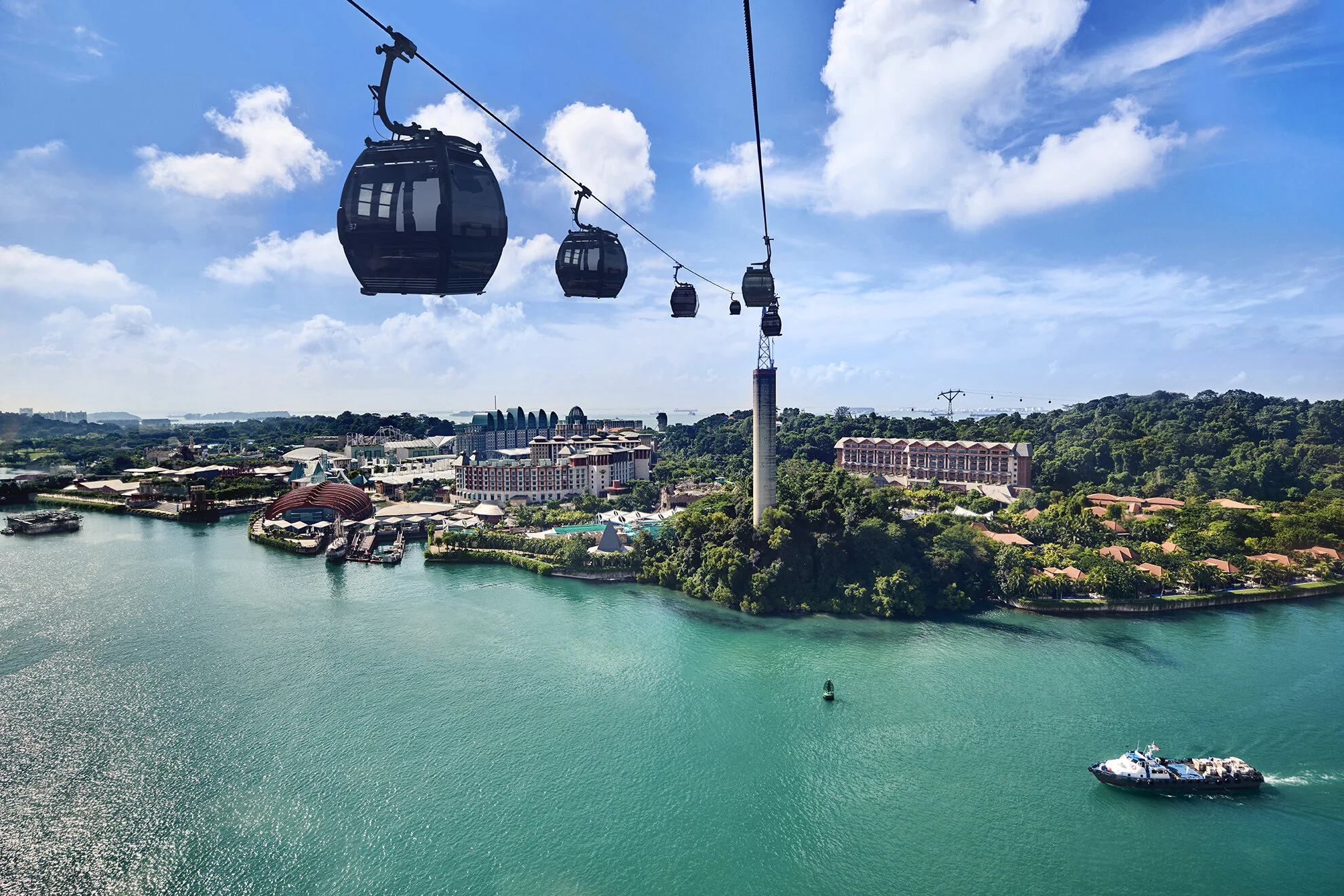 MF Line_Sentosa_1Mar19to29Feb20.jpg