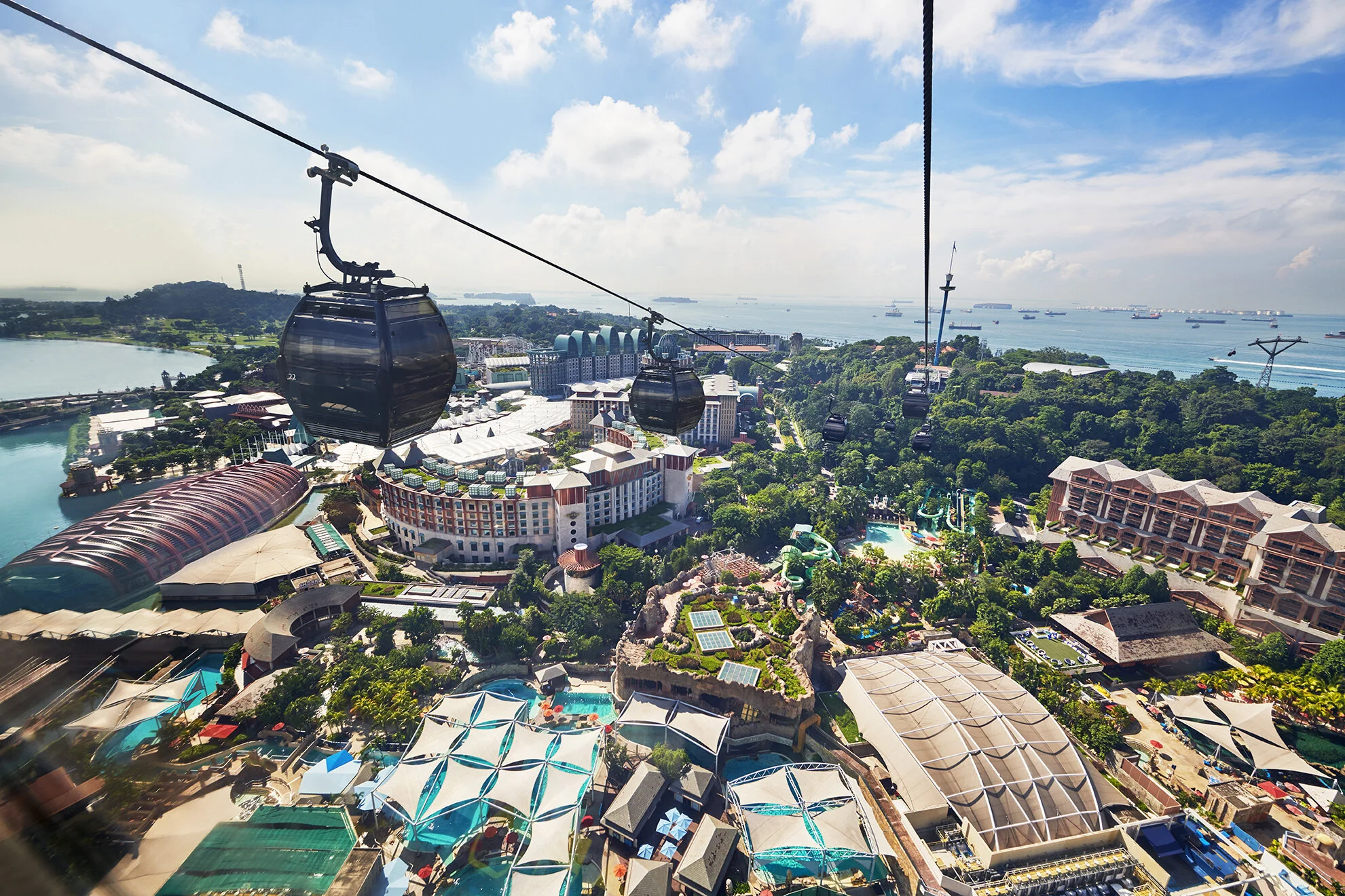 MF Line_Sentosa Close up 2_1Mar19to29Feb20.jpg