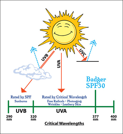SPF chart.gif