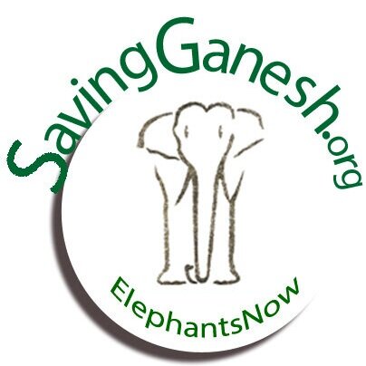 SavingGanesh.org -- ElephantsNow