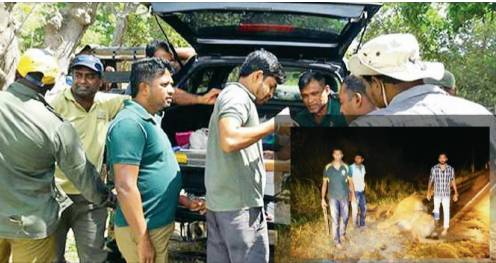 Sri Lanka: Rangers and Veterinarian Crews are Heroes without Praise