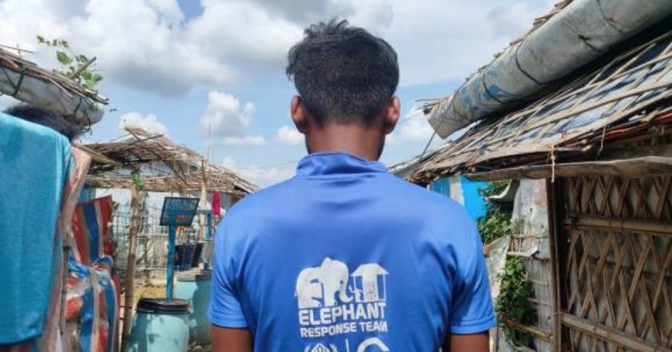 Bangladesh Elephants - Losing Habitat to Myanmar’s Rohingya exiles