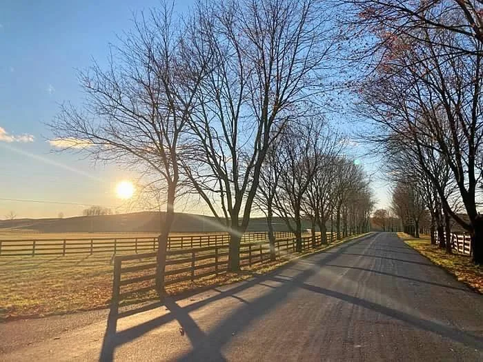 Never To Be Replaced