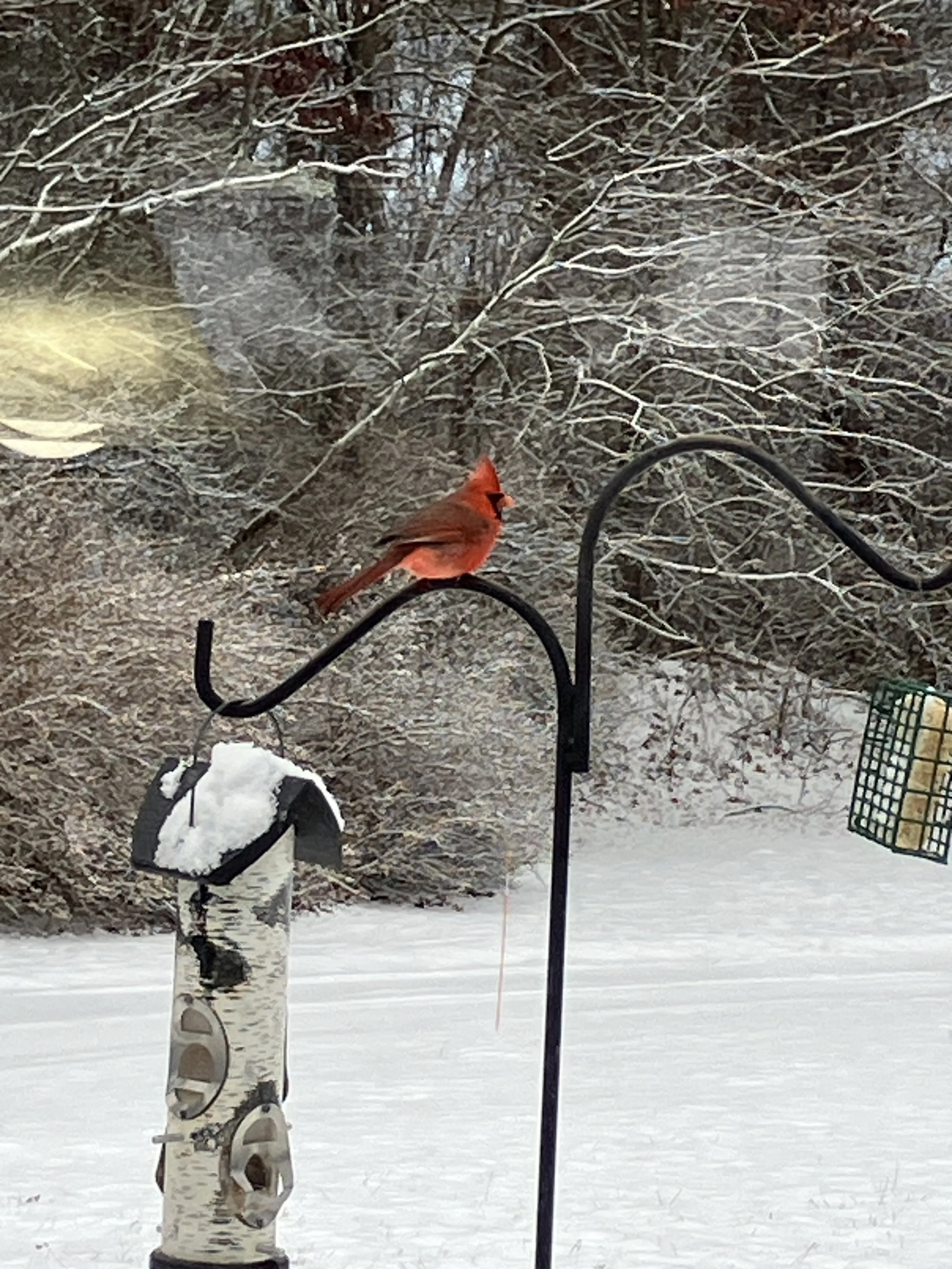 Unfinished Business: A Fair Comparison Once Found Unfair 