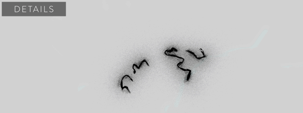 2b947920835901.562f255ea4211.gif