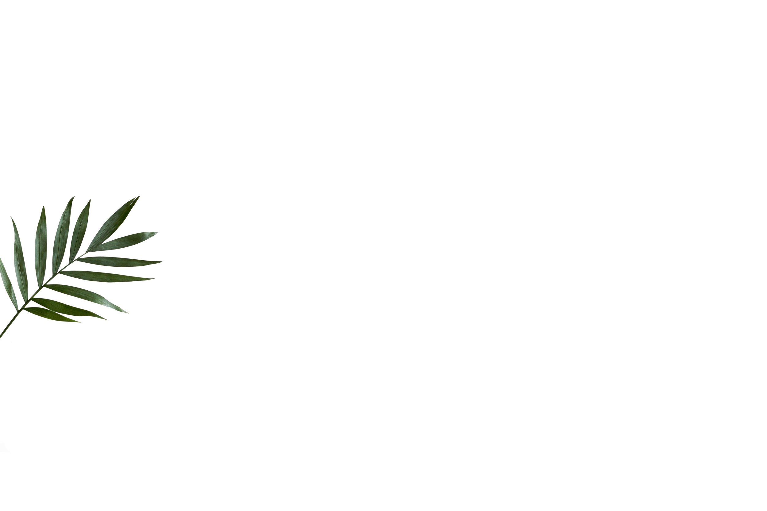 Leaf-small-up.jpg
