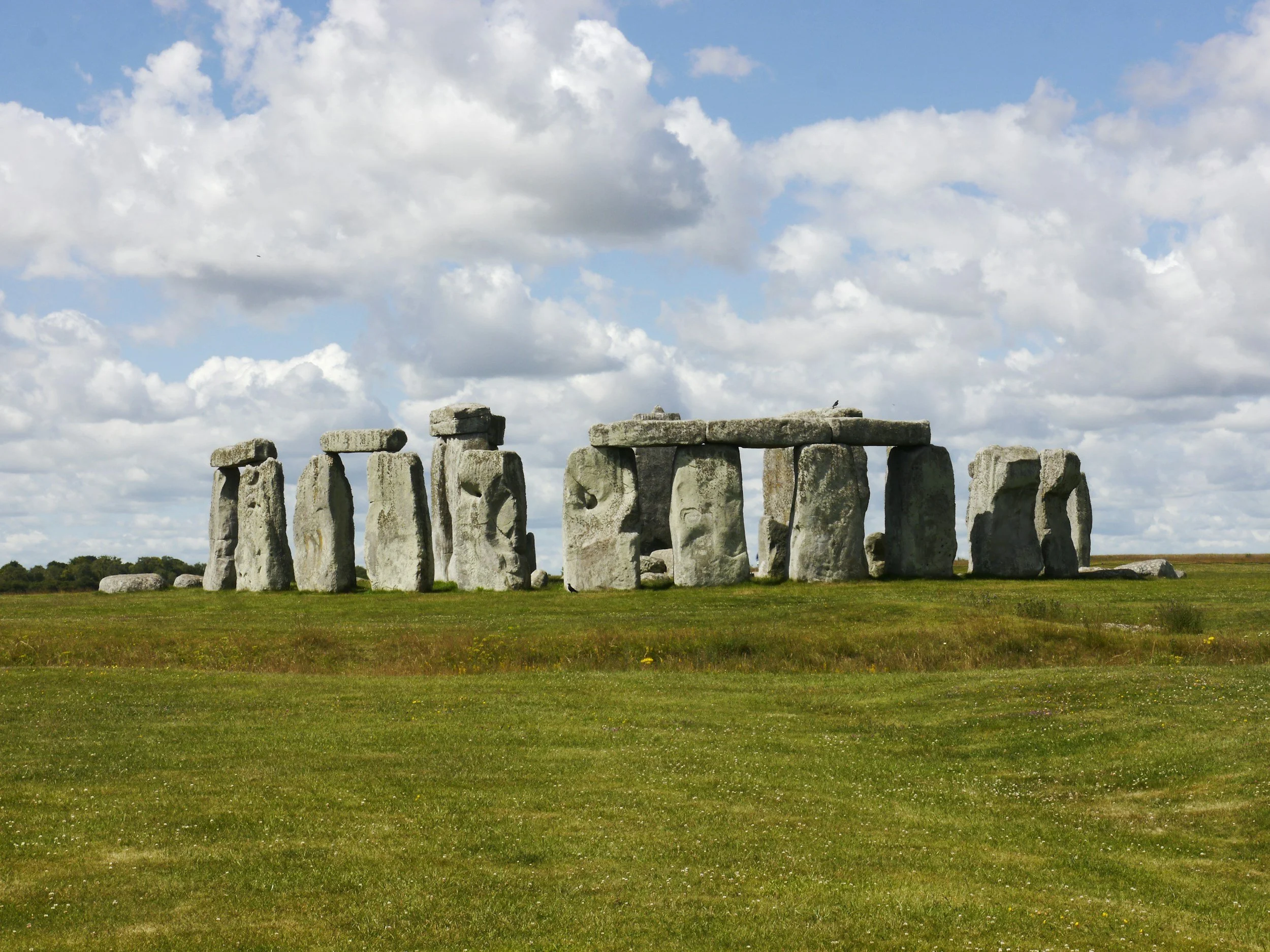 Winning with Local SEO: A Guide for Small Businesses in Wiltshire
