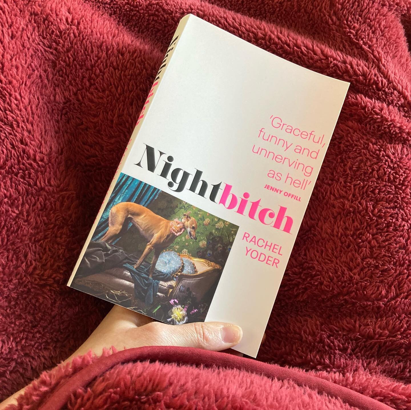 Only 60 pages in but finding Nightbitch deliciously biting and hilarious. A domestic fever dream with a pinch of Kafka and Shirley Jackson thrown in! 🐕💕
@raijoy