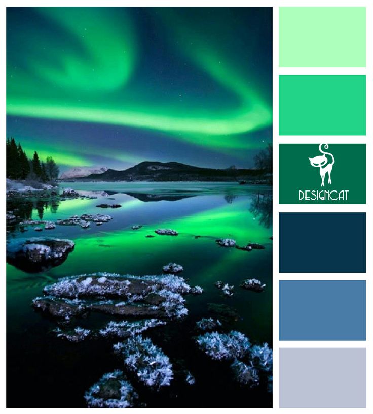 Northern-Lights-Color.jpg