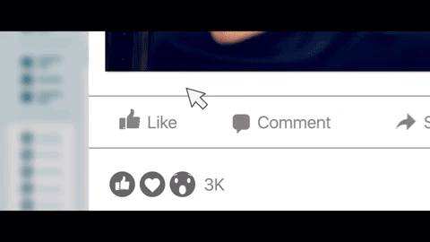 giphy.gif