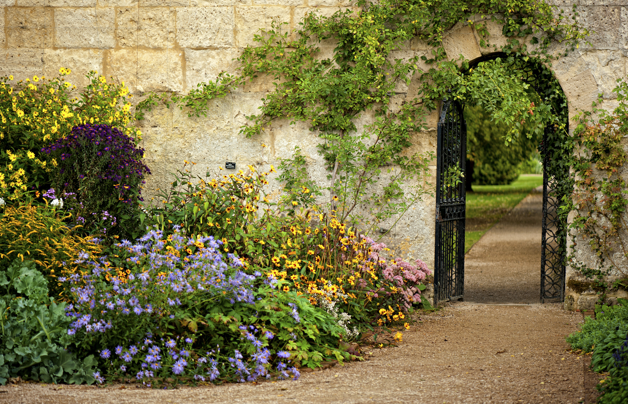 Stone Wall doorway.jpg