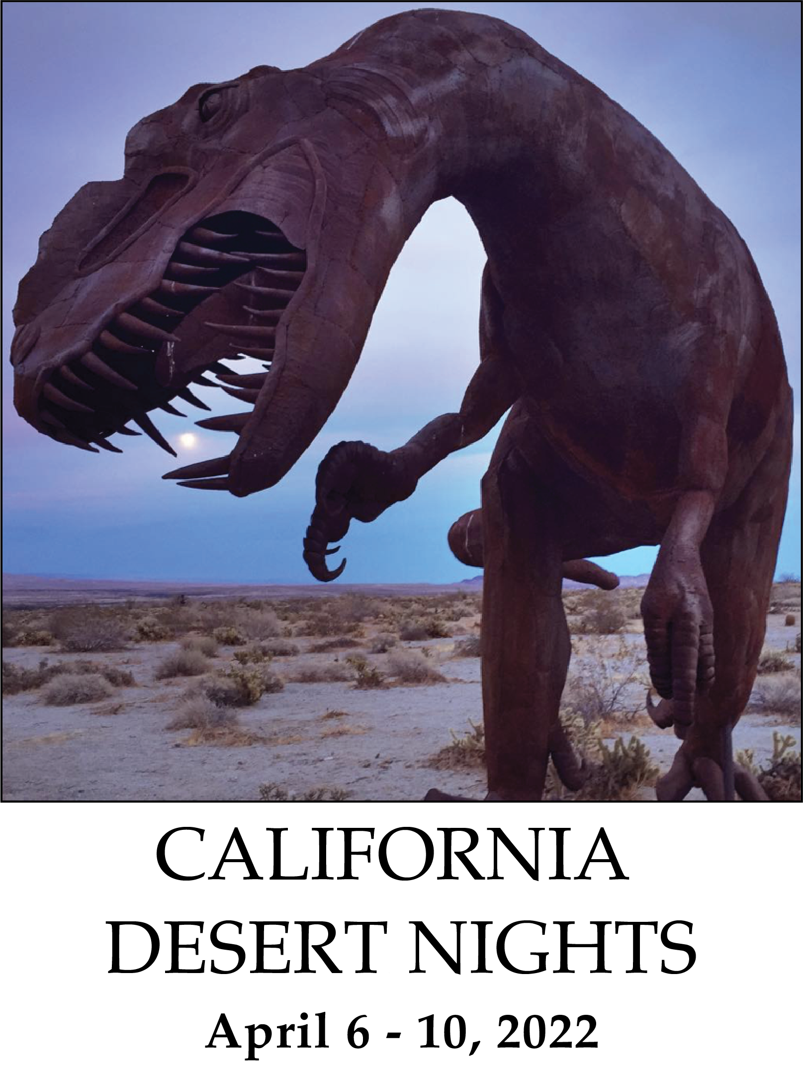 dg-california-desert-skies-night-photography-workshop-anza-borrego-springs-joshua-tree-death-valley-national-park-mike-shaw copy.png