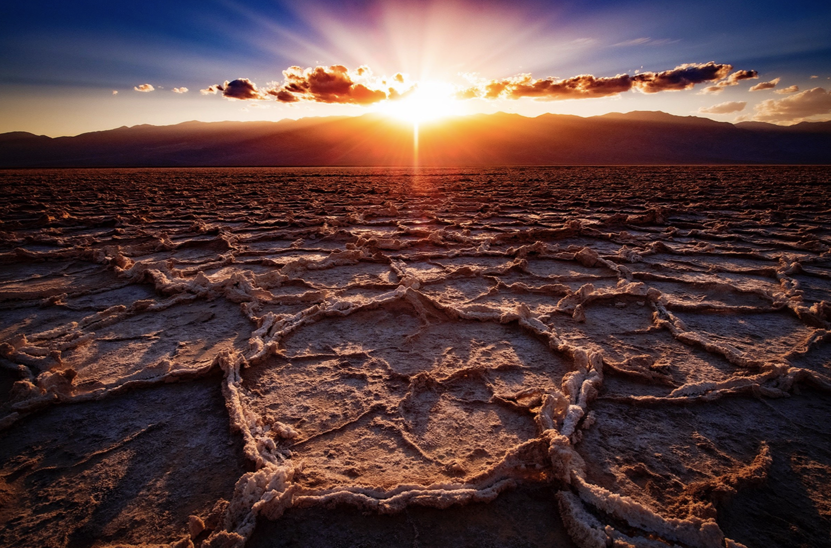 Screenshot 2024-08-22 at 2.58.36 PM.png